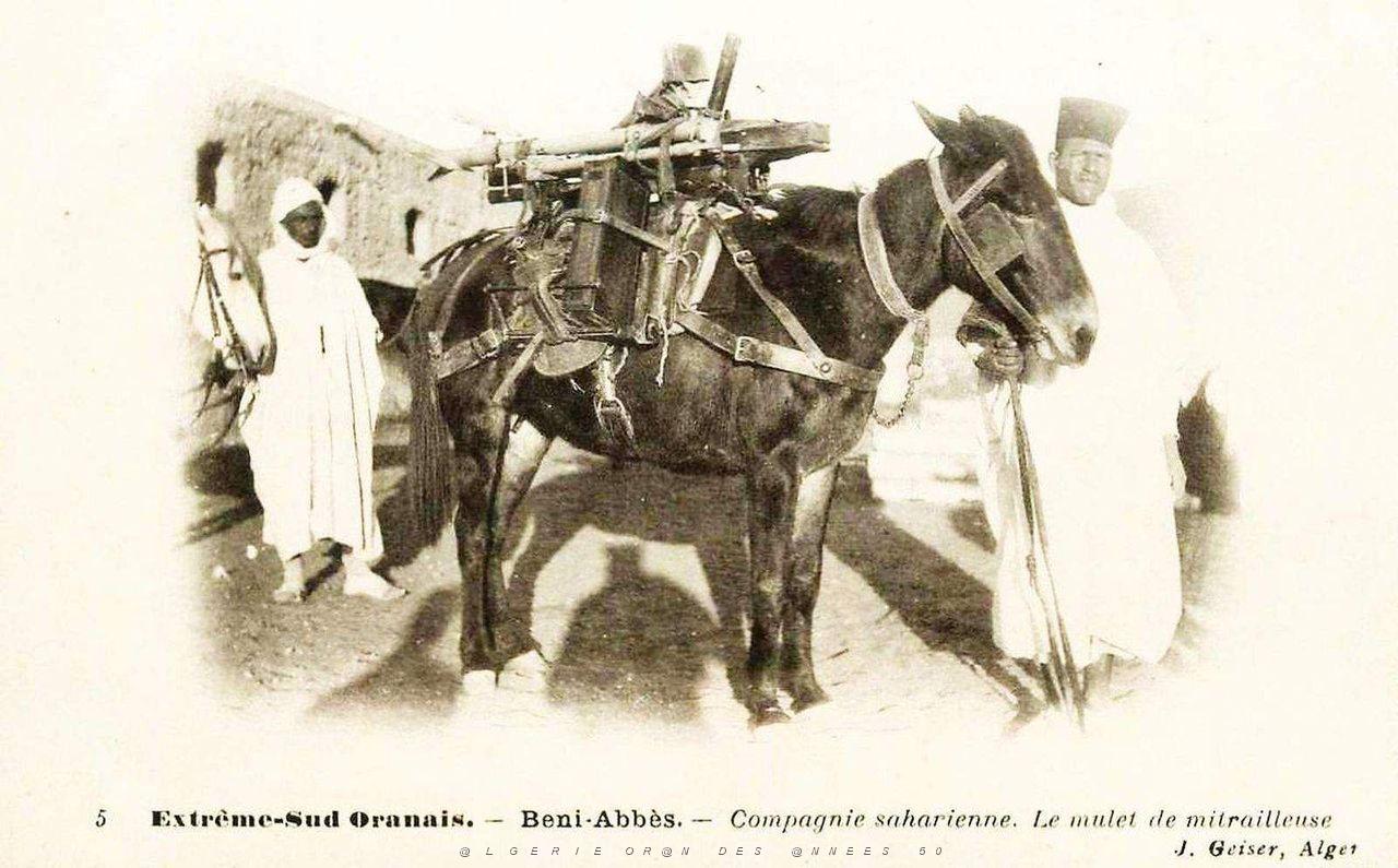 Oran- SDV- 7393.jpg